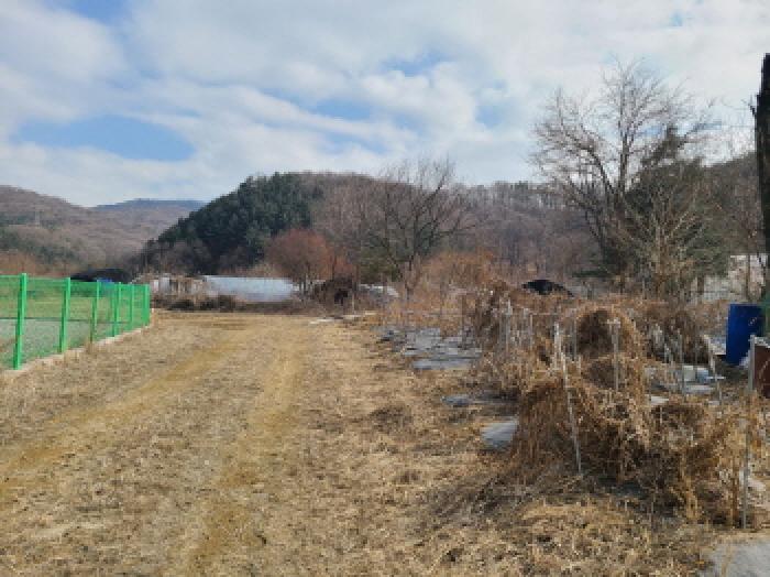 경기 성남시 중원구 갈현동 대지,임야,전답 경매 물건 사진 5 · 2025타경541