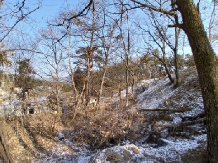 경기 하남시 춘궁동 임야 경매 물건 사진 2 · 2026타경50054