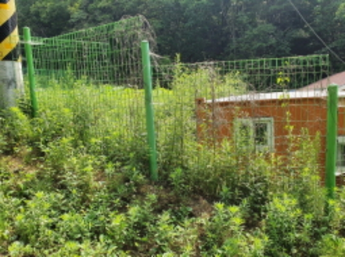 경기 양평군 지평면 동물및식물관련시설 경매 물건 사진 2 · 2022타경2037
