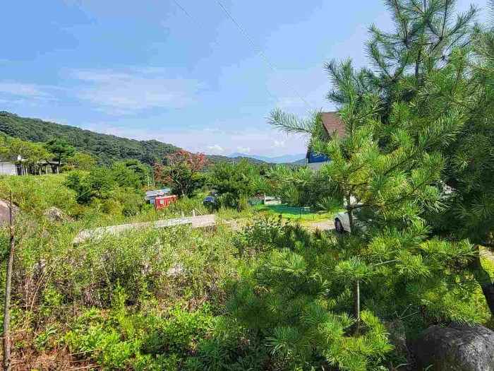 경기 양평군 강하면 도로 경매 물건 사진