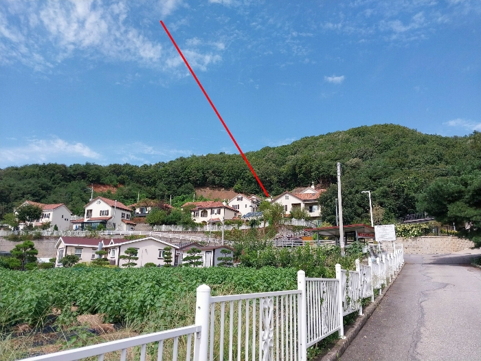 경기도 양평군 옥천면 용천리 산61 과수원 경매 물건 사진
