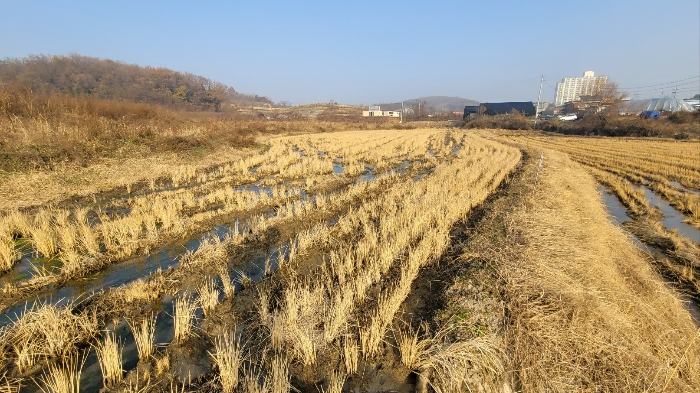경기도 여주시 가남읍 태평리 286-2 답 경매 물건 사진