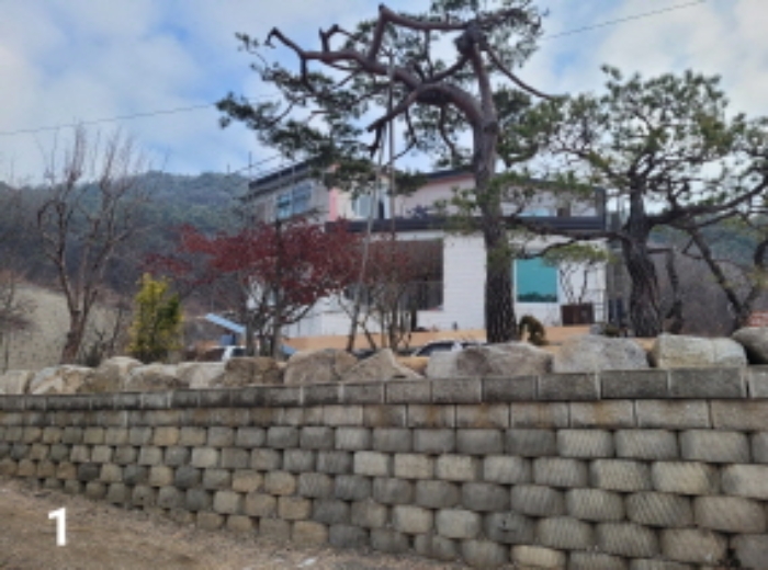 경기 양평군 용문면 임야 경매 물건 사진