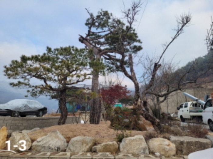경기 양평군 용문면 임야 경매 물건 사진 4 · 2023타경6265
