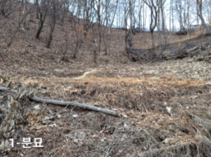 경기 양평군 용문면 임야 경매 물건 사진 3 · 2023타경793