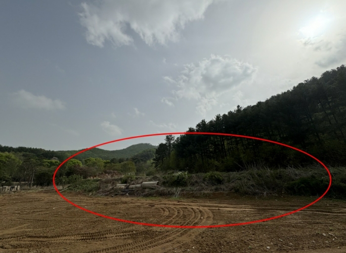 경기도 양평군 강상면 송학리 산165-2 대지,임야,전답 경매 물건 사진