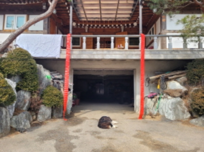 경기 양평군 단월면 도로 경매 물건 사진 6 · 2024타경226