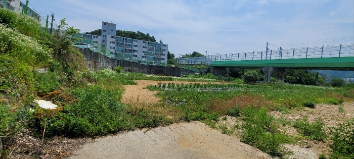 경기도 양평군 용문면 마룡리 218-2 답 경매 물건 사진