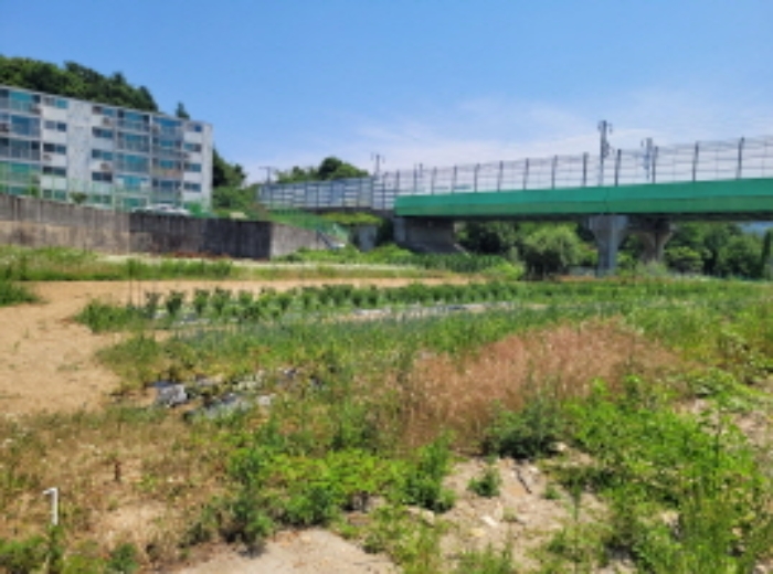 경기 양평군 용문면 답 경매 물건 사진