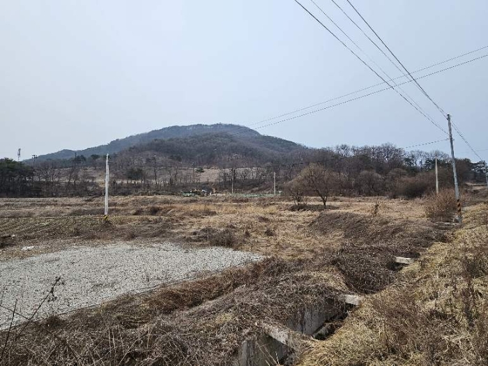 경기 이천시 율면 전답 경매 물건 사진