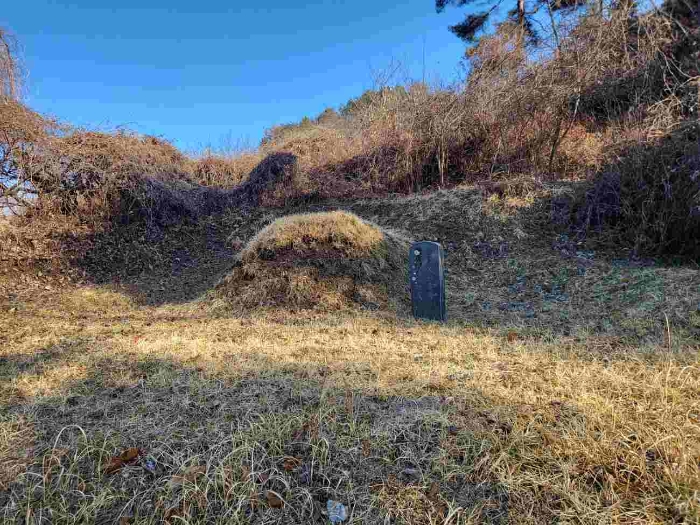 경기 양평군 강하면 답 경매 물건 사진 3 · 2024타경31381