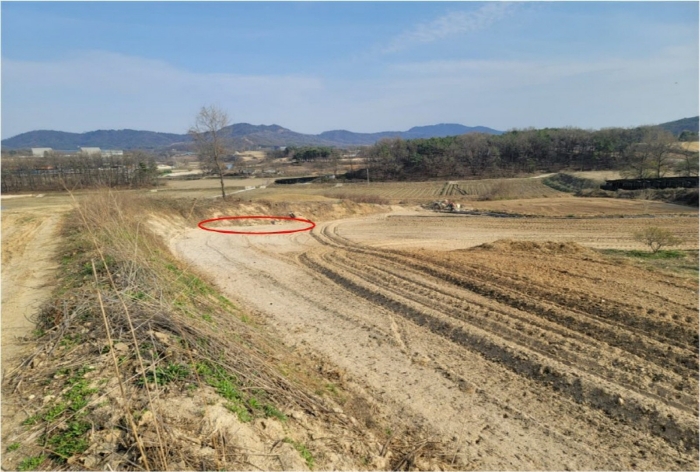 경기도 이천시 설성면 암산리 산90-12 임야 경매 물건 사진