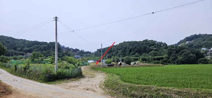 경기도 양평군 양서면 증동리 155 전답 경매 물건 사진