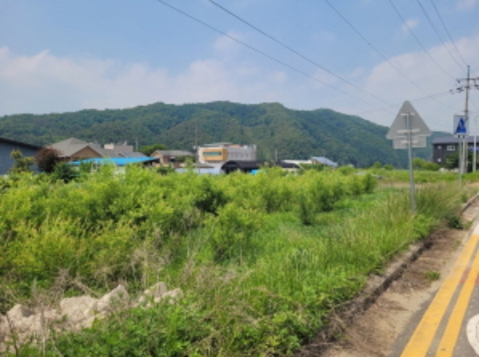 경기 양평군 청운면 전답 경매 물건 사진