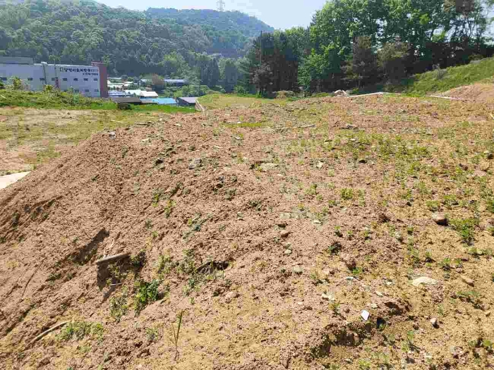 경기 양평군 개군면 잡종지 경매 물건 사진 4 · 2024타경34304