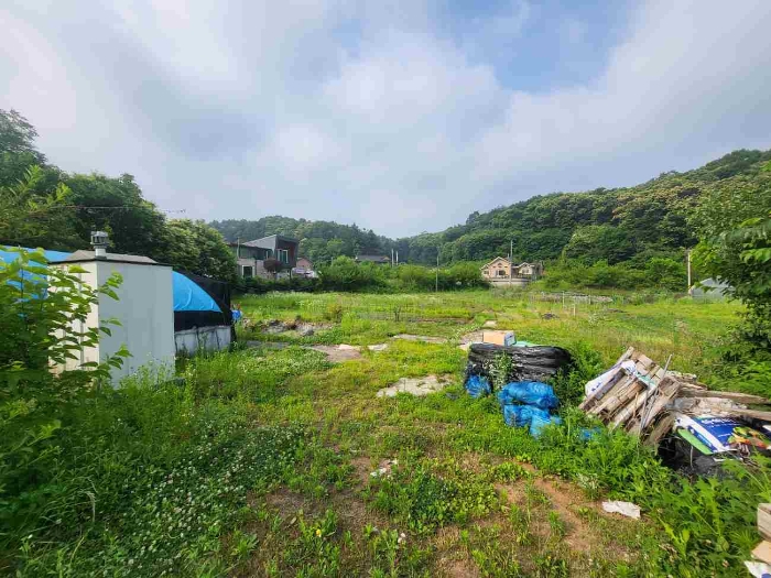 경기 양평군 강하면 창고시설 경매 물건 사진 3 · 2024타경35383