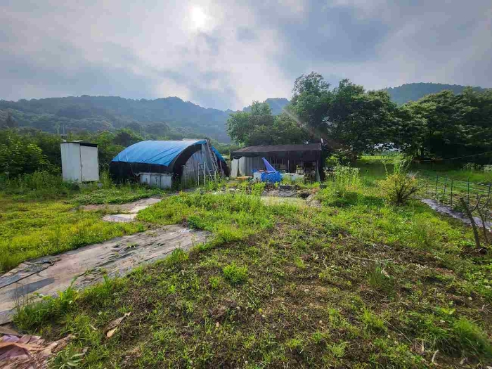 경기 양평군 강하면 창고시설 경매 물건 사진 4 · 2024타경35383