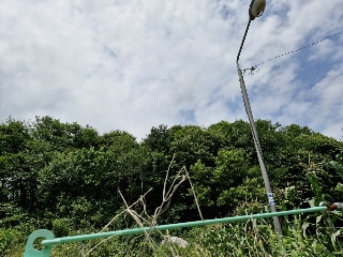 경기 양평군 청운면 임야 경매 물건 사진