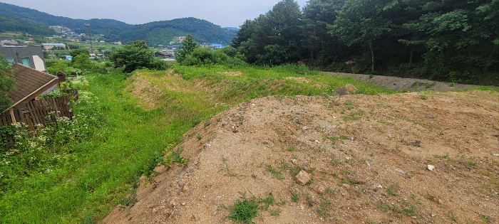 경기 양평군 양서면 답 경매 물건 사진 5 · 2024타경36072