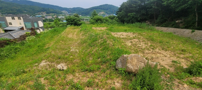 경기 양평군 양서면 답 경매 물건 사진 6 · 2024타경36072