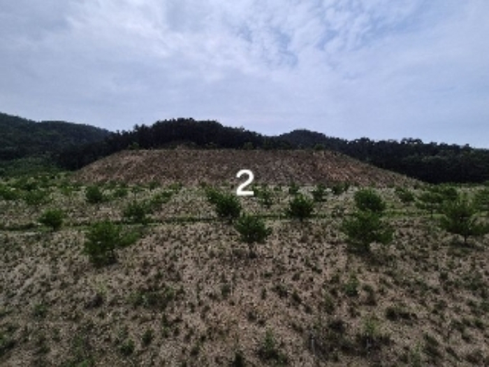 경기 여주시 세종대왕면 임야 경매 물건 사진 2 · 2024타경36164