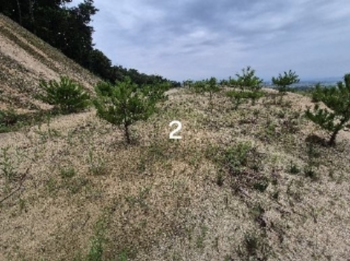경기 여주시 세종대왕면 임야 경매 물건 사진 5 · 2024타경36164