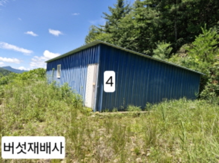 경기 양평군 서종면 동물및식물관련시설 경매 물건 사진 3 · 2024타경36201