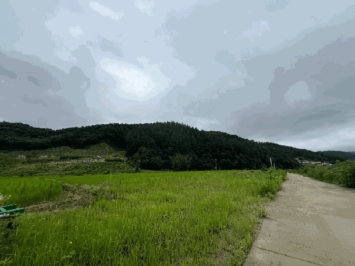경기 양평군 옥천면 임야 경매 물건 사진 5 · 2024타경36539
