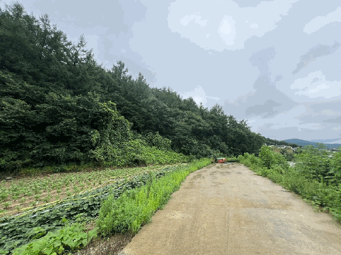 경기 양평군 옥천면 임야 경매 물건 사진 6 · 2024타경36539