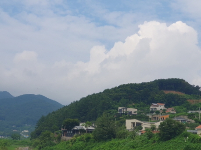 경기 양평군 옥천면 임야 경매 물건 사진