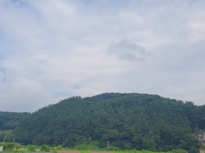 경기 양평군 옥천면 임야 경매 물건 사진 3 · 2024타경36539