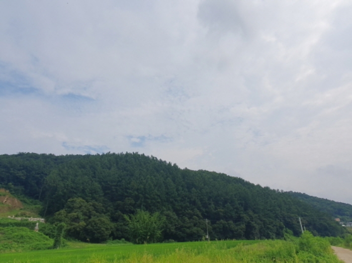 경기 양평군 옥천면 임야 경매 물건 사진 4 · 2024타경36539