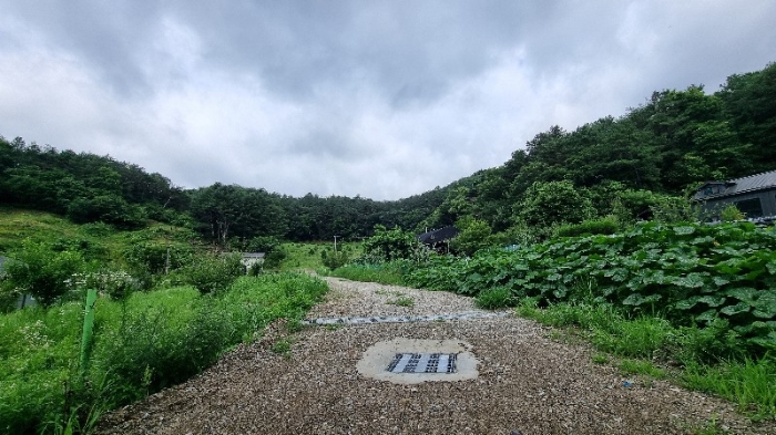 경기도 양평군 용문면 조현리 419-5 전 경매 물건 사진