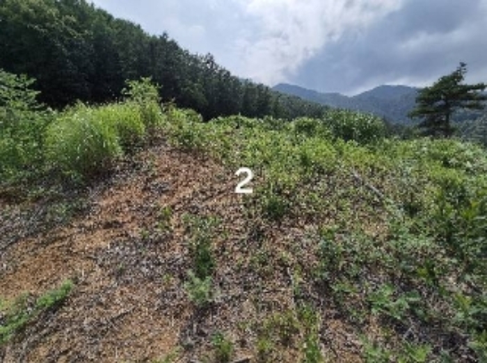 경기 양평군 강상면 대지 경매 물건 사진 3 · 2024타경36904
