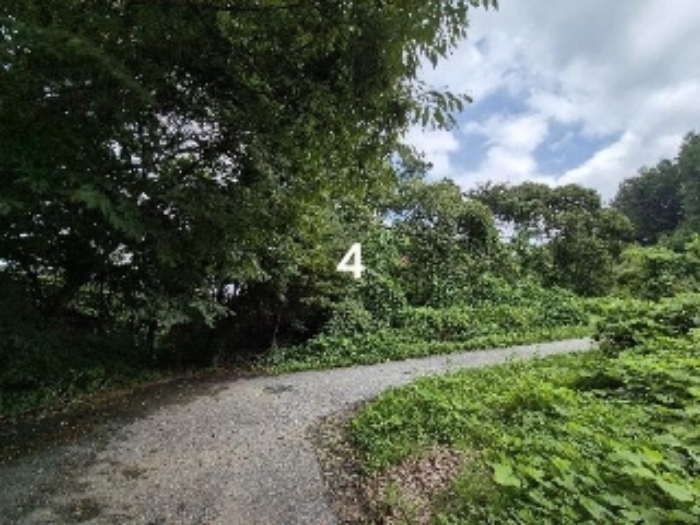 경기 양평군 강상면 대지 경매 물건 사진 5 · 2024타경36904