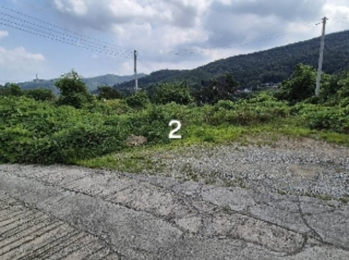 경기 양평군 강상면 도로 경매 물건 사진 4 · 2024타경37273
