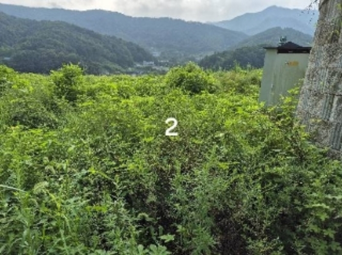 경기 양평군 강하면 도로 경매 물건 사진 2 · 2024타경37440