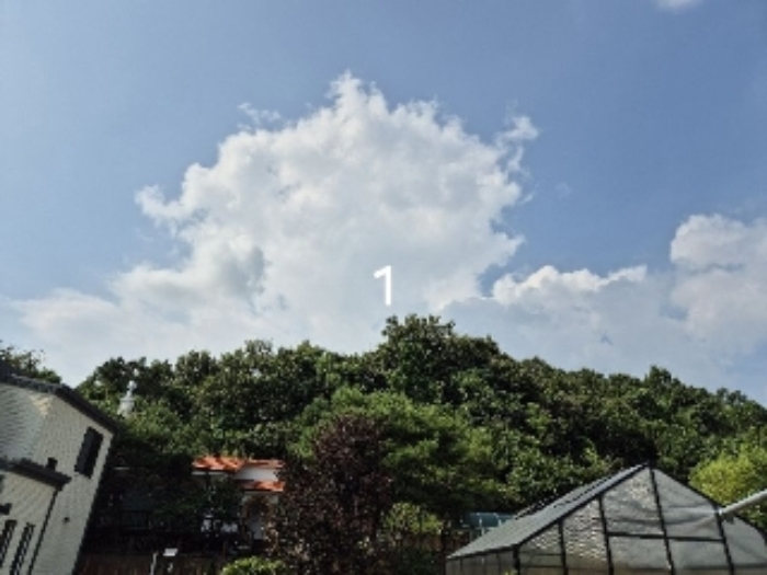 경기 양평군 개군면 임야 경매 물건 사진 2 · 2024타경37754