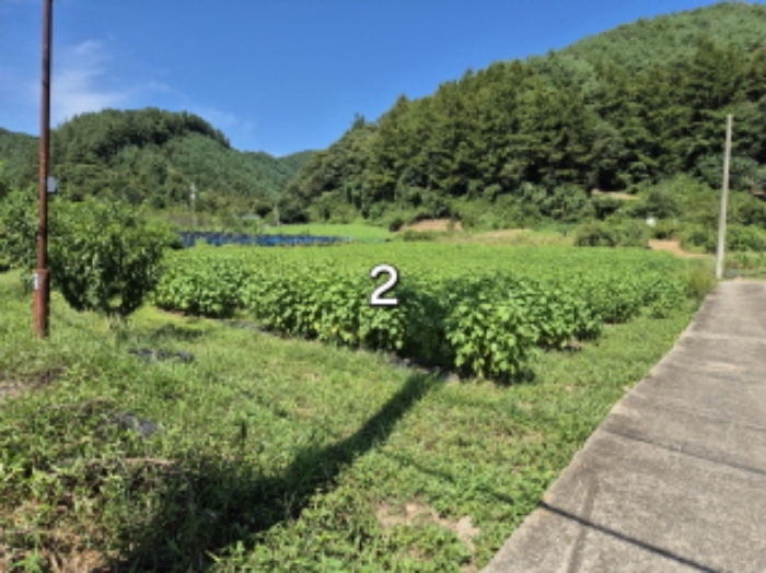경기 양평군 청운면 전 경매 물건 사진 2 · 2024타경38306