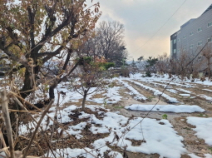 경기 이천시 신둔면 전 경매 물건 사진