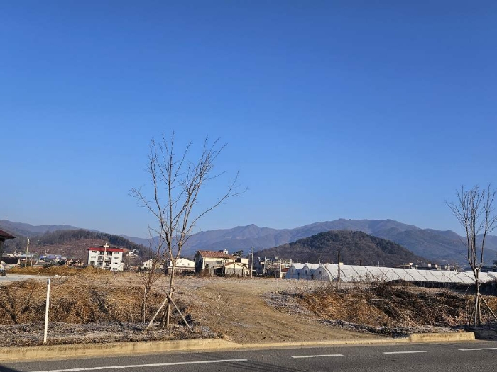 경기 양평군 옥천면 전답 경매 물건 사진