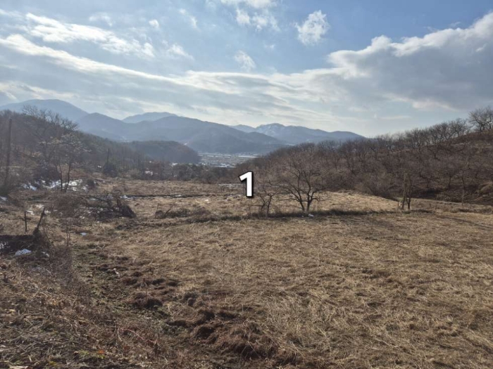경기 양평군 양동면 전답 경매 물건 사진 2 · 2024타경41852