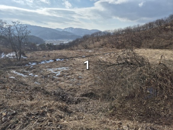 경기 양평군 양동면 전답 경매 물건 사진 3 · 2024타경41852