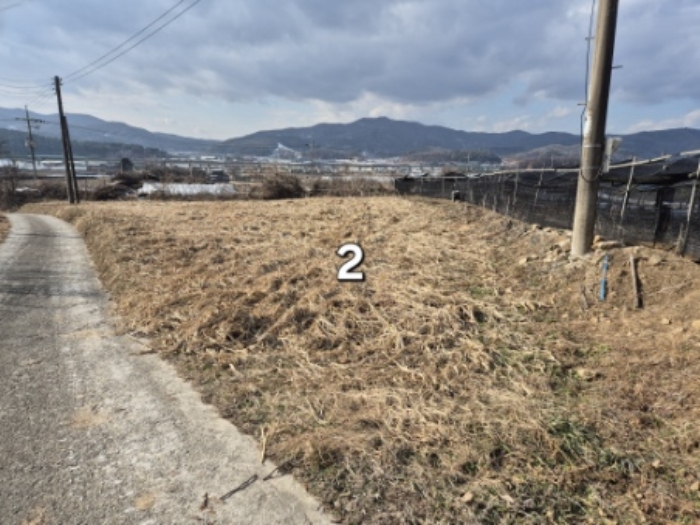 경기 양평군 양동면 전답 경매 물건 사진 4 · 2024타경41852