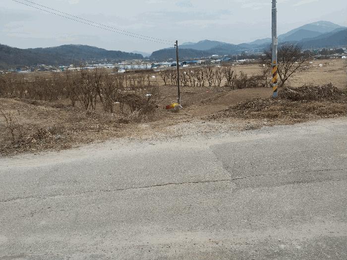 경기 양평군 양동면 전 경매 물건 사진 3 · 2024타경42428