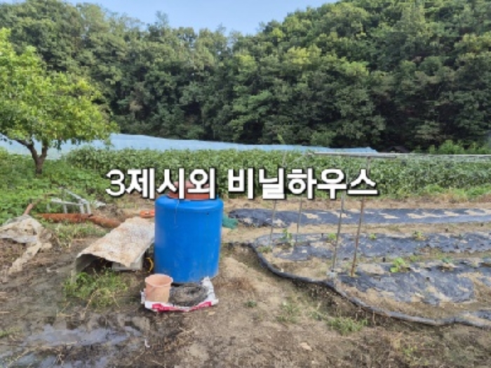 경기 여주시 흥천면 전답 경매 물건 사진 6 · 2024타경4518