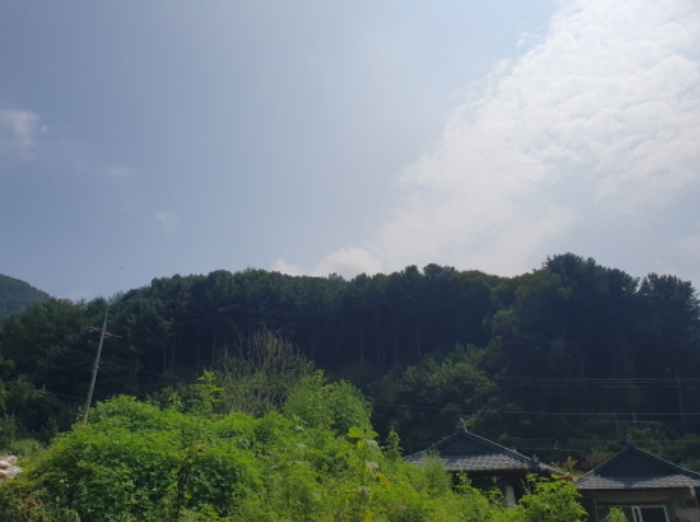 경기 양평군 서종면 임야 경매 물건 사진 5 · 2024타경4624