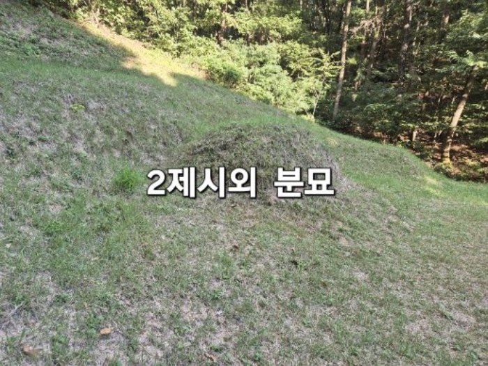 경기 양평군 개군면 임야 경매 물건 사진 2 · 2024타경5122