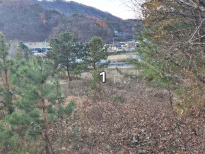 경기 양평군 강하면 대지 경매 물건 사진 6 · 2024타경5191