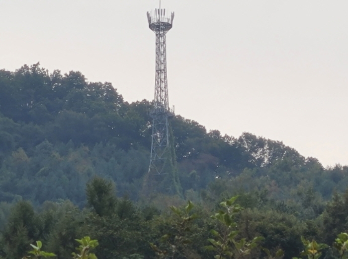경기 양평군 서종면 임야 경매 물건 사진 4 · 2024타경5535